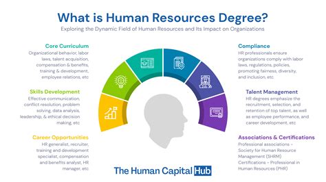 what degree do i need for human resources: Exploring Educational Paths and Beyond in the HR Field